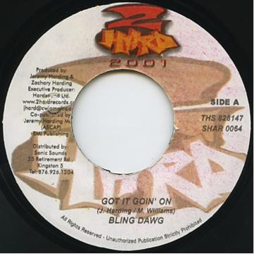Bling Dawg-Got It Goin On-(SHAR 0064)-VLS-FLAC-2001-YARD