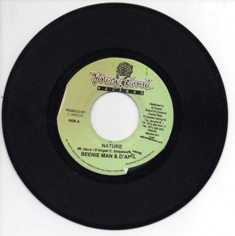 Beenie Man & D'Angel - Nature (200X) Vinyl FLAC Download