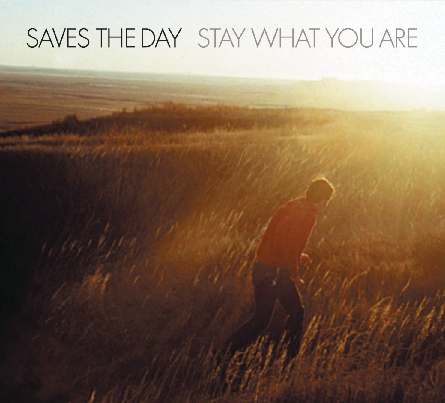 Saves The Day-Stay What You Are-CD-FLAC-2001-SDR