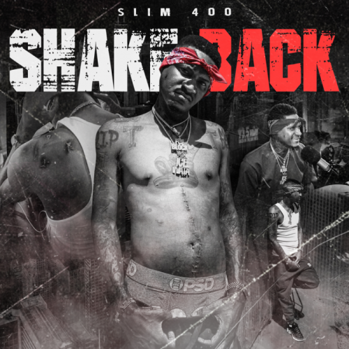 Slim 400-Shake Back-16BIT-WEB-FLAC-2020-VEXED