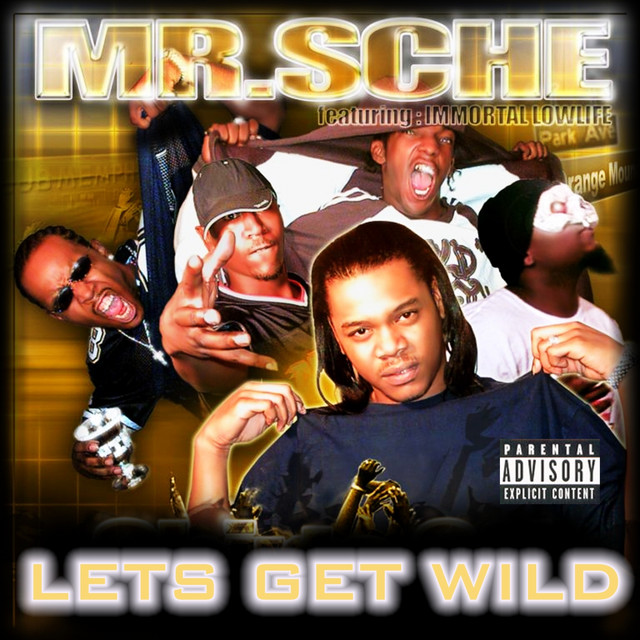 Mr. Sche - Let's Get Wild (2002) FLAC Download