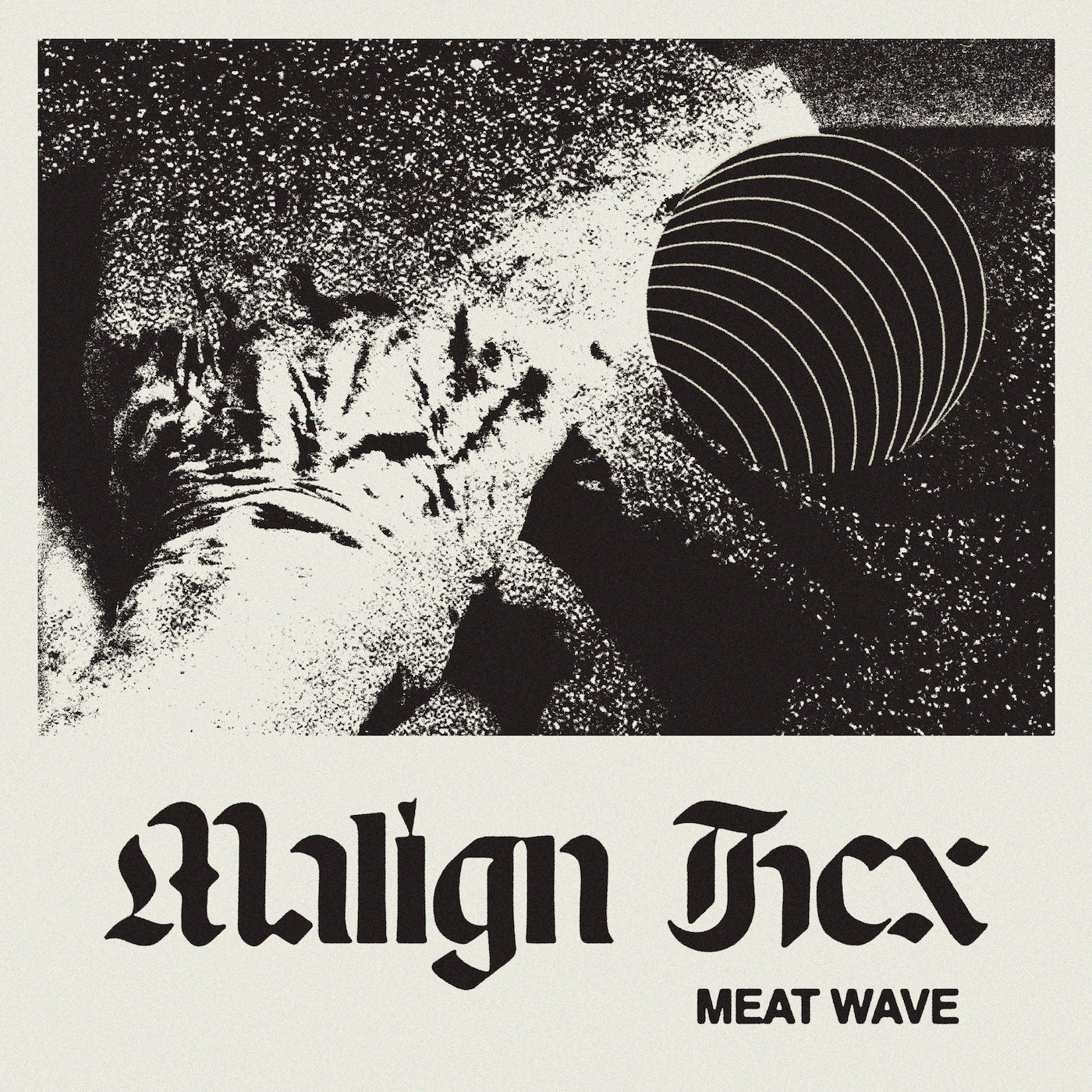 Meat Wave-Malign Hex-16BIT-WEB-FLAC-2022-VEXED