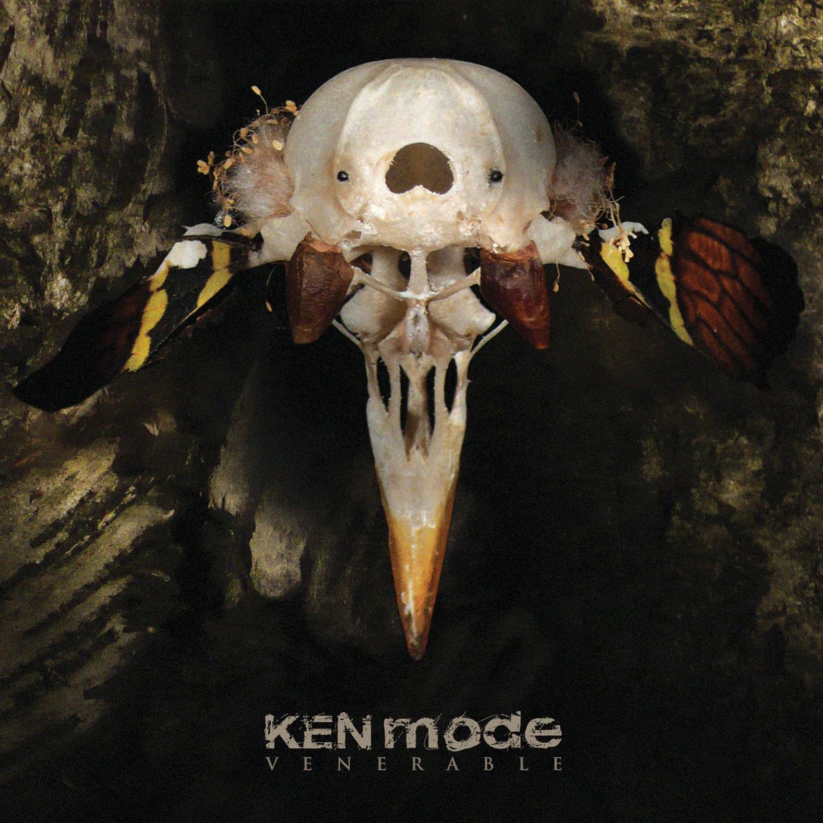 KEN Mode-Venerable-16BIT-WEB-FLAC-2011-VEXED Download