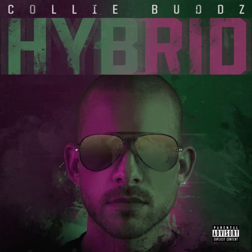 Collie Buddz - Hybrid (2019) FLAC Download