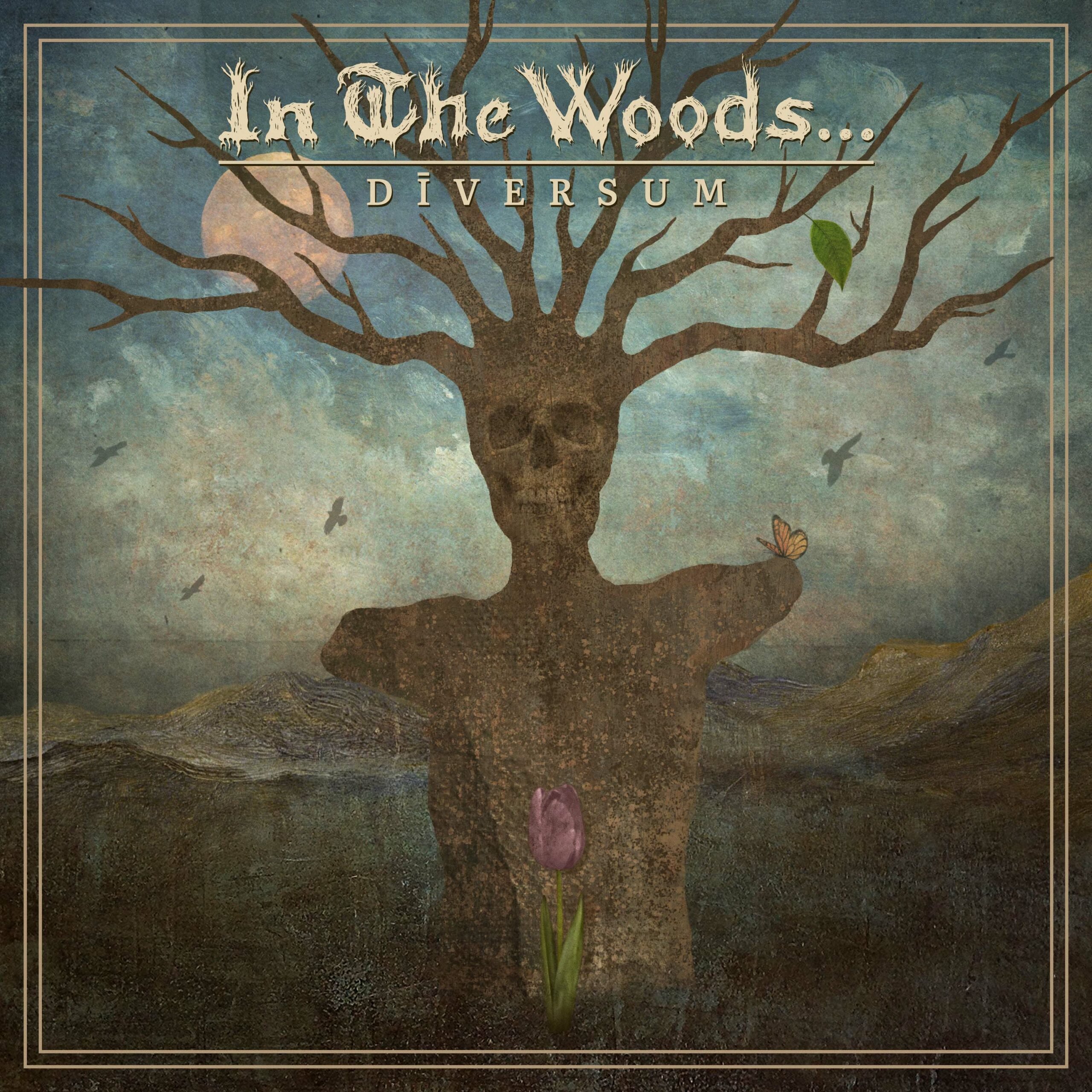 In The Woods... - Diversum (2022) FLAC Download