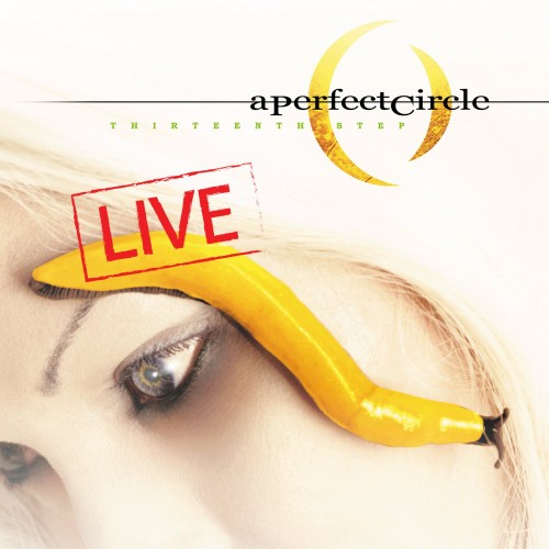 A Perfect Circle-Thirteenth Step (Live)-16BIT-WEB-FLAC-2013-ENRiCH