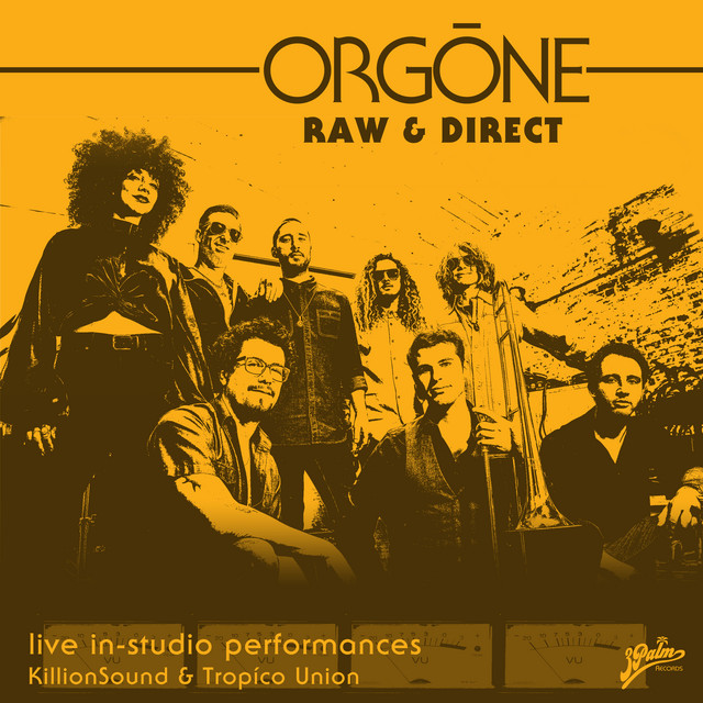 Orgone-Raw and Direct-24-44-WEB-FLAC-2021-OBZEN