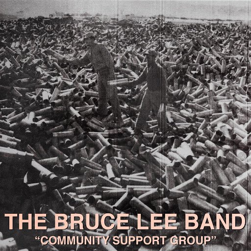 The Bruce Lee Band-Community Support Group-16BIT-WEB-FLAC-2014-VEXED