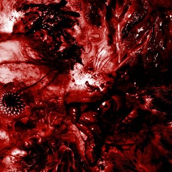 Excrescence - Inescapable Anatomical Deterioration (2023) FLAC Download