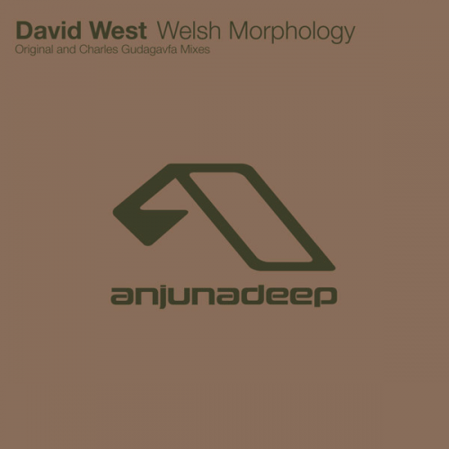 David West-Welsh Morphology-(ANJDEE017)-WEBFLAC-2008-AFO