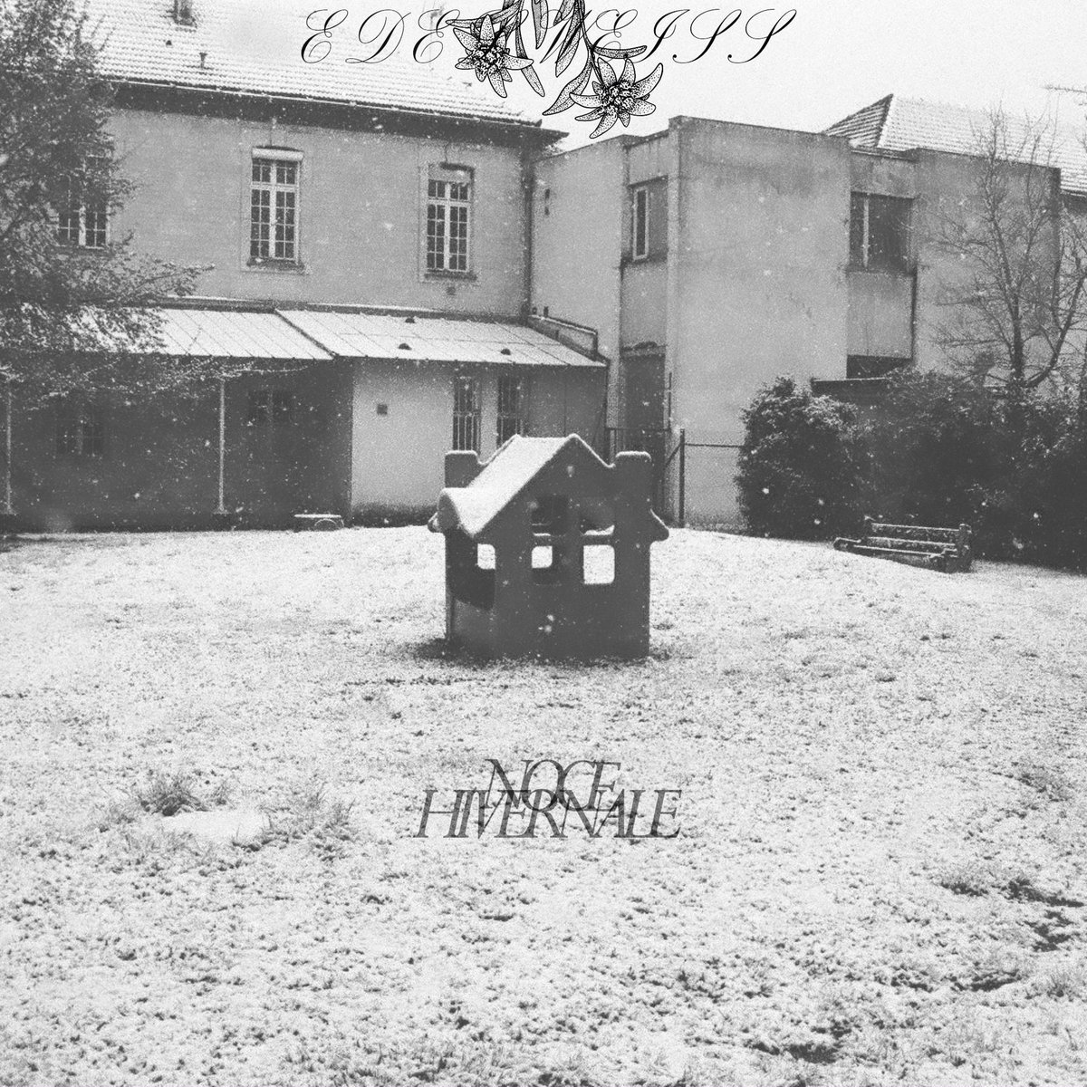 Edelweiss - Noce Hivernale (2023) FLAC Download