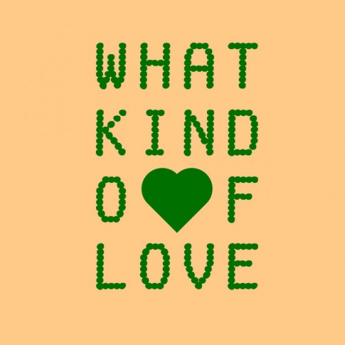 Discosteps-What Kind Of Love-(GU794)-WEBFLAC-2023-DWM