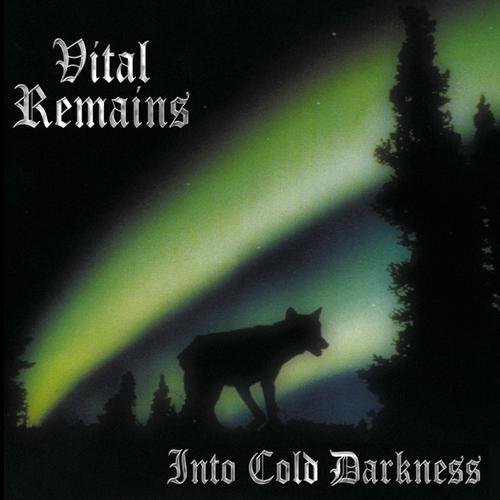 Vital Remains - Into Cold Darkness (2004) FLAC Download