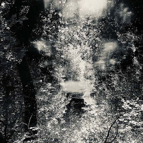 Grief Symposium-   in the Absence of Light-24BIT-WEB-FLAC-2023-MOONBLOOD