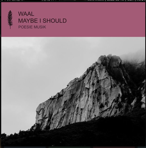 Waal - Maybe I Should (2023) FLAC Download
