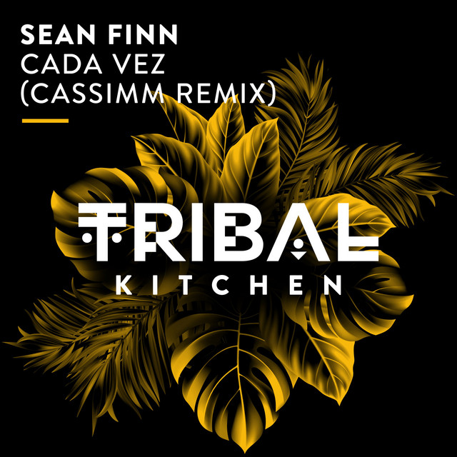 Sean Finn - Cada Vez (CASSIMM Remix) (2023) FLAC Download