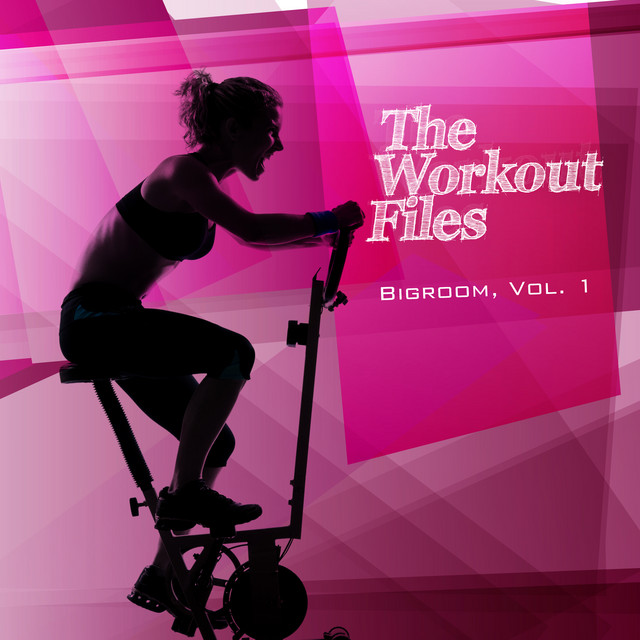 VA-The Workout Files – Bigroom Vol. 1-16BIT-WEB-FLAC-2023-TM
