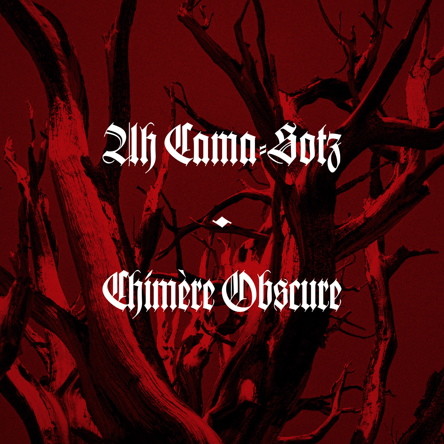 Ah Cama-Sotz - Chimère Obscure (2022) Vinyl FLAC Download