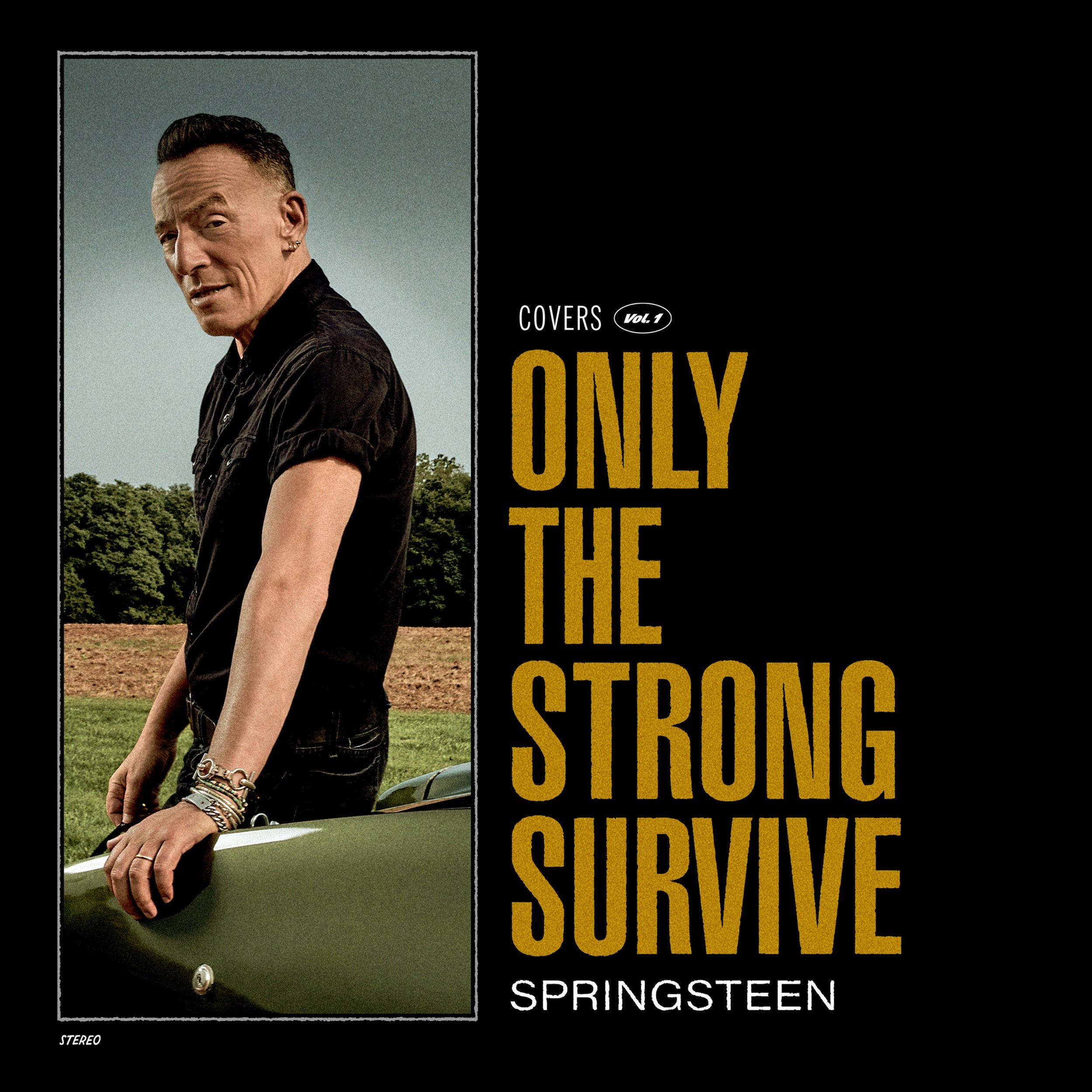 Bruce Springsteen-Only The Strong Survive-24-96-WEB-FLAC-2022-OBZEN Download