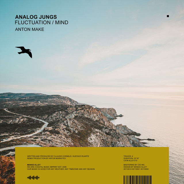 Analog Jungs - Fluctuation / Mind (2023) FLAC Download