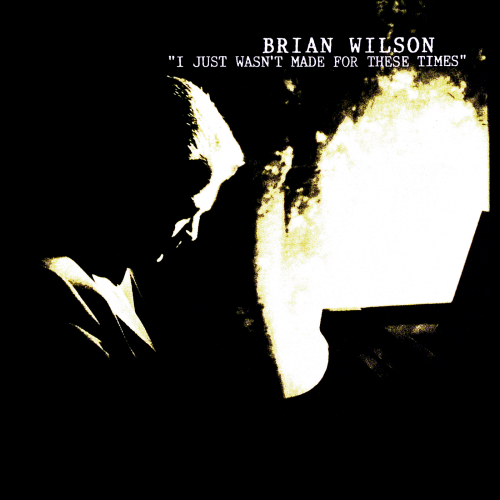 Brian Wilson-I Just Wasnt Made For These Times-CD-FLAC-1995-FAWN