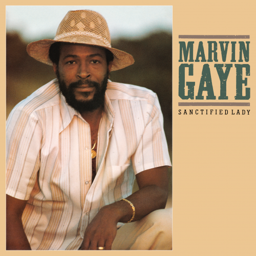 Marvin Gaye-Sanctified Lady-VLS-FLAC-1985-THEVOiD