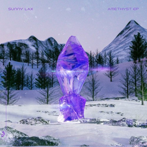 Sunny Lax-Amethyst EP-(ANJ882D)-WEBFLAC-2023-AFO