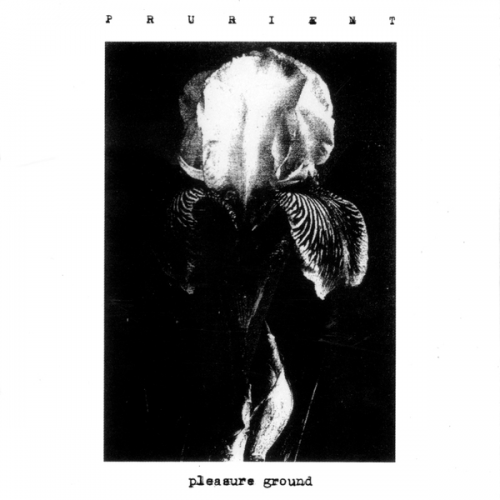 Prurient-Pleasure Ground-WEB-FLAC-2006-2o23