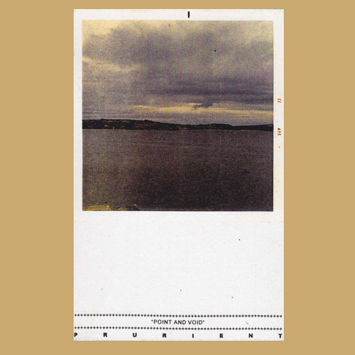 Prurient-Point And Void-WEB-FLAC-2000-2o23