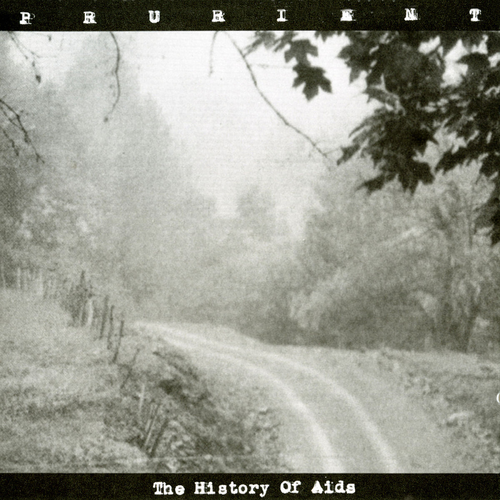 Prurient-The History Of Aids-WEB-FLAC-2002-2o23