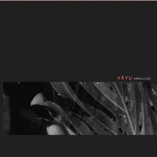 Vayu–Polarized Reflection-(ANNCD05)-WEB-FLAC-2017-BABAS
