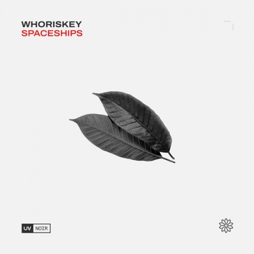 Whoriskey-Spaceships-(UVN072)-WEBFLAC-2023-AFO