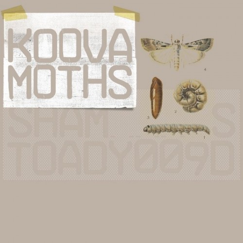Koova – Moths (2012)