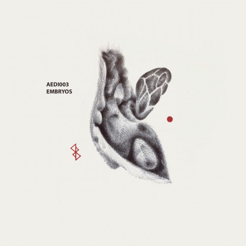 Various Artists - Embryos (2022) Download