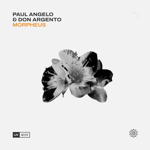 Paul Angelo & Don Argento – Morpheus (2023)