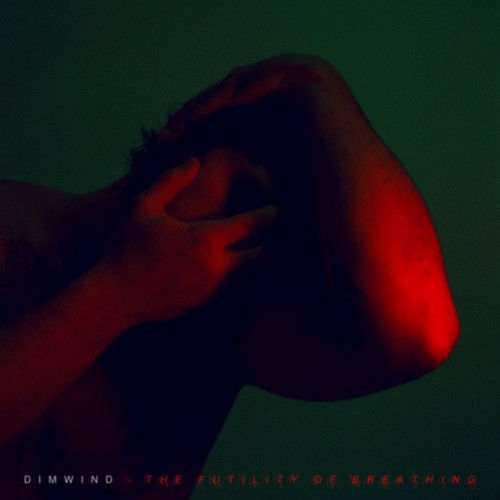 Dimwind - The Futility Of Breathing (2023) Download