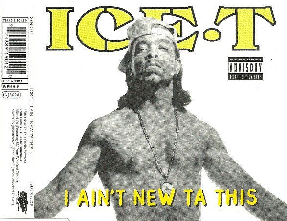 Ice-T-I Aint New Ta This-CDM-FLAC-1993-THEVOiD Download