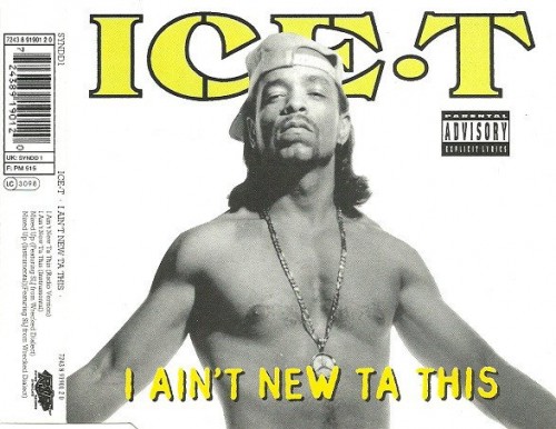 Ice-T-I Aint New Ta This-CDM-FLAC-1993-THEVOiD
