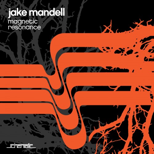 Jake Mandell - Magnetic Resonance (2019) Download