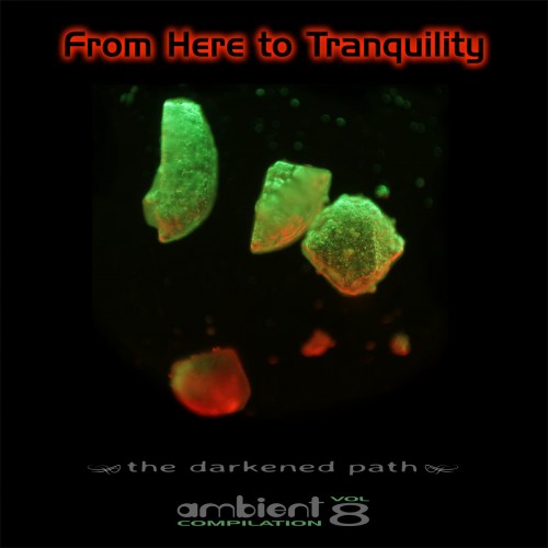 Various Artists - From Here To Tranquility Volume 8 (The Darkened Path) (2017) Download