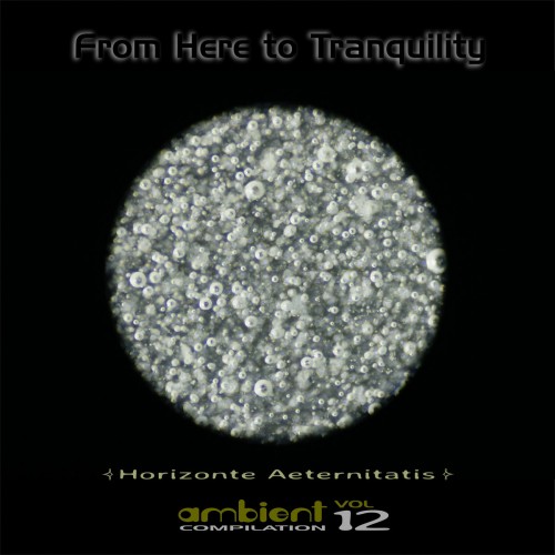 Various Artists - From Here To Tranquility Volume 12 (Horizonte Aeternitatis) (2020) Download