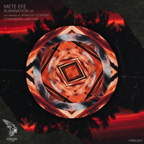Mete Efe - Rumination (2023) Download