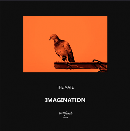 The Mate - Imagination (2023) Download