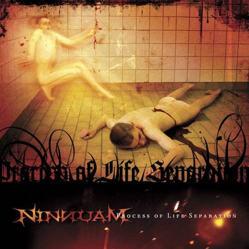 Ninnuam - Process of Life Separation (2004) Download