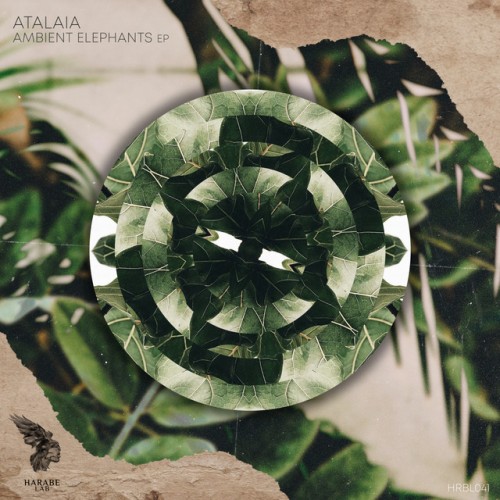 AtalaiA - Ambient Elephants (2023) Download