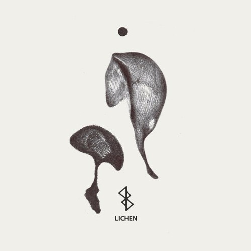 Various Artists - Lichen (2023) Download