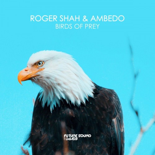 Roger Shah & Ambedo – Birds Of Prey (2023)