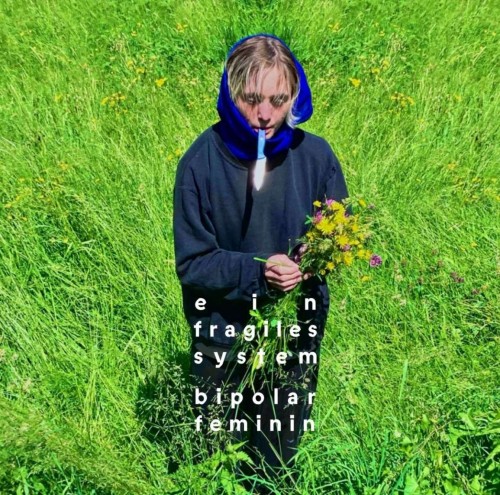 Bipolar Feminin - Ein fragiles System (2023) Download