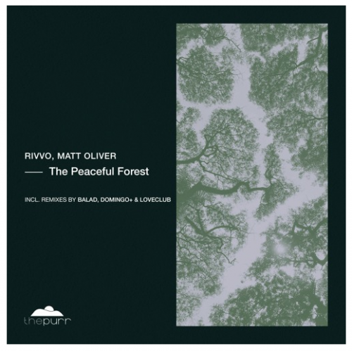 Rivvo and Matt Oliver-The Peaceful Forest-(PURR378)-WEBFLAC-2023-AFO