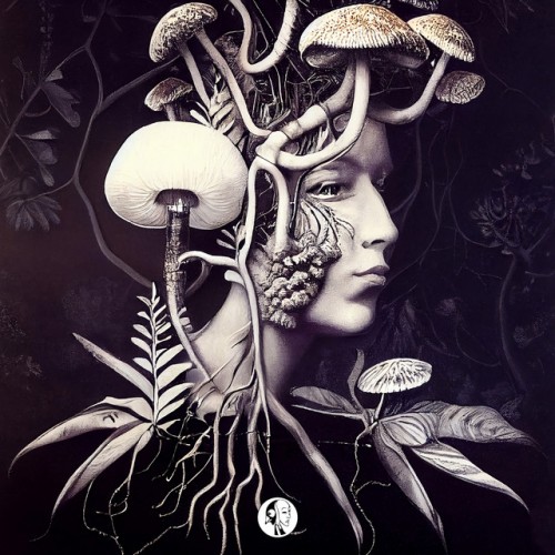 Monarke - Cerebral Awakening (Remix Edition) (2023) Download